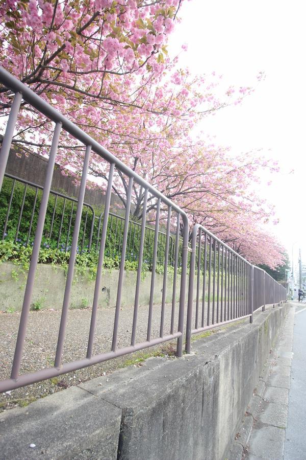 Kiyomori No Baika Hotel Kyoto Exterior photo